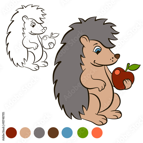 Coloring page. Color me: Hedgehog. Little cute hedgehog stands and holds an apple in the paw. The hedgehog smiles.