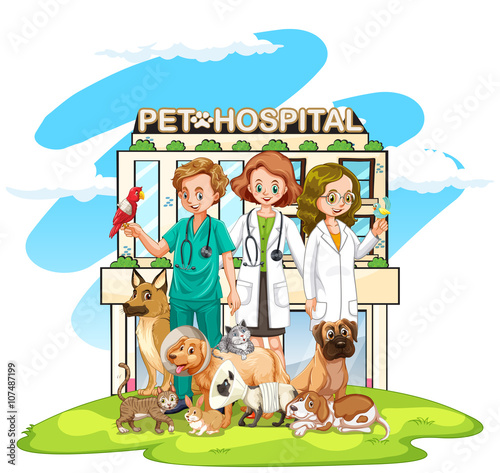 Three vets and many pets at the hospital