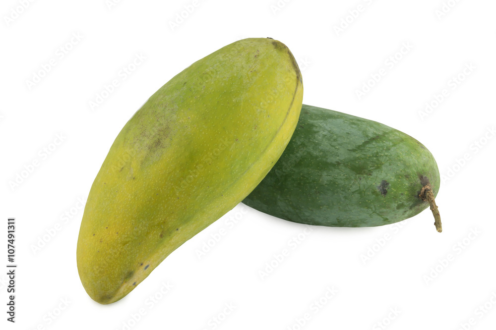 mango on white background mango on white background