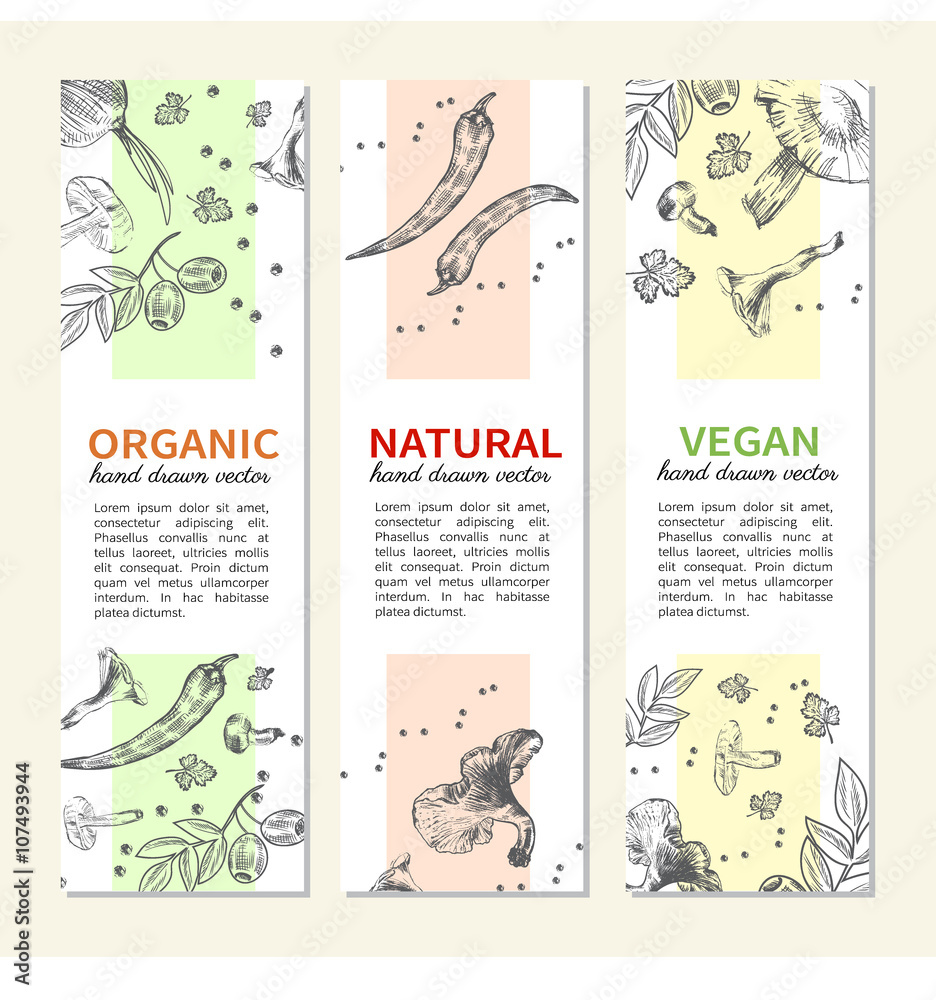 Set of banners with hand drawn mushrooms, peppers, parsley and onion, Natural ingredients, Vector illustration Perfect for farm market advertising, bio product business and agricultural industry, menu