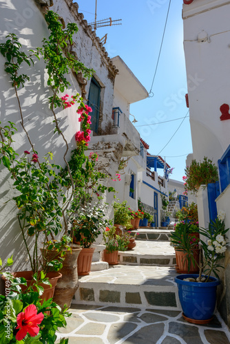 Stone slated alley with limewashed houses