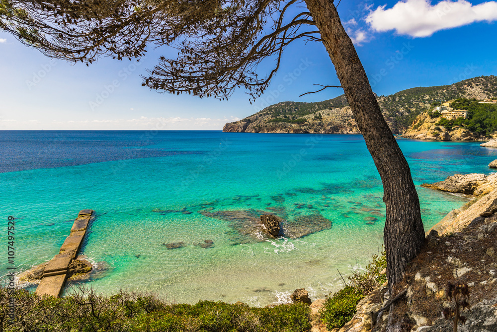 Beautiful bay Camp de Mar Majorca island Spain