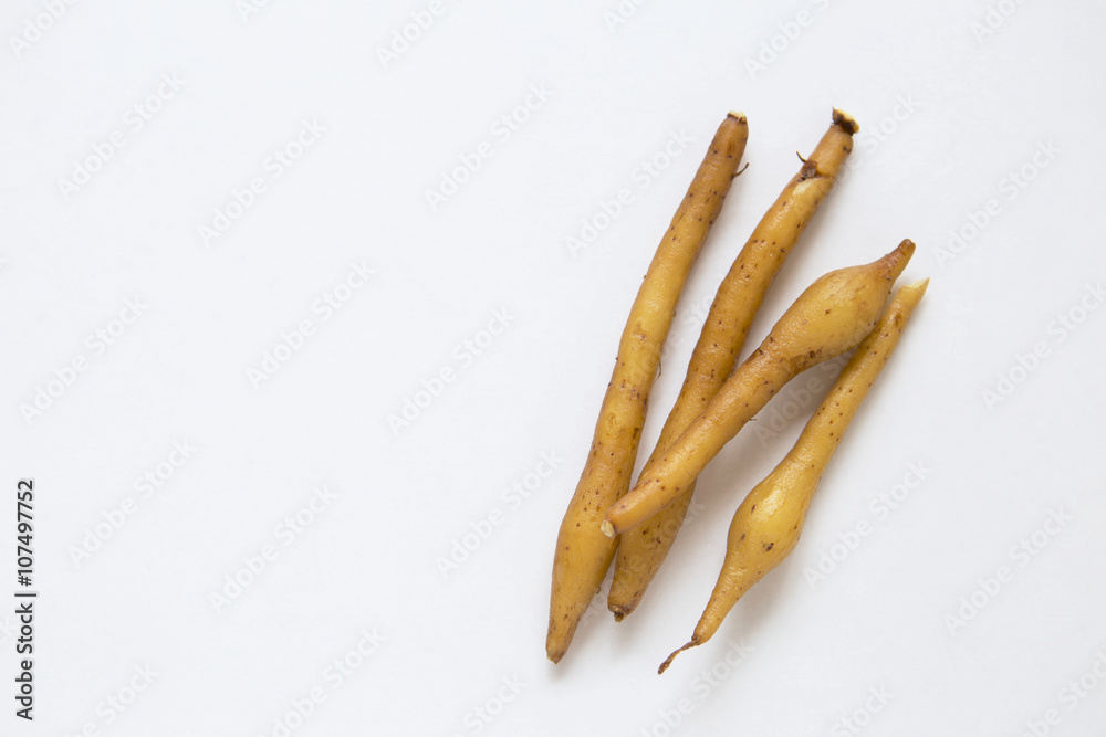Fresh Finger root with space on white background Fresh Finger root with space on white background