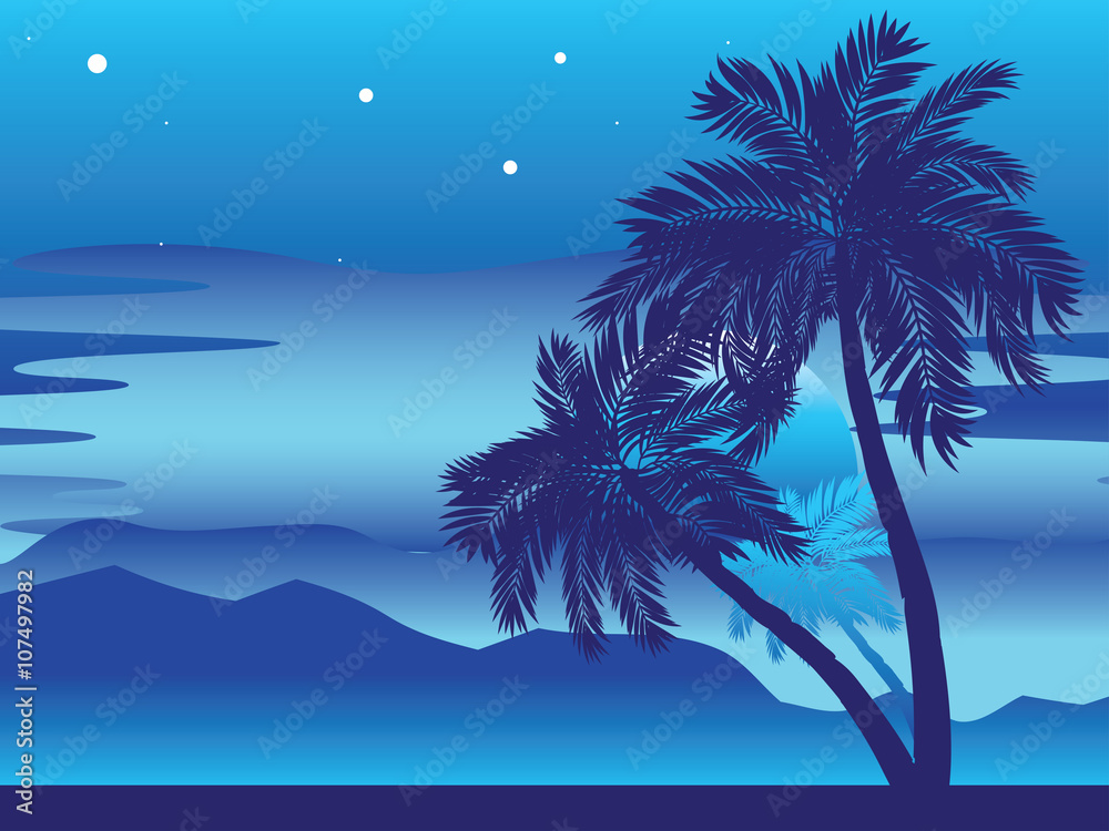 Palm Tree at Night