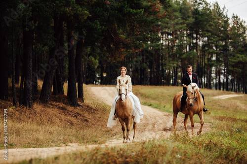 beautiful fabulous happy bride and stylish groom riding horses on the background of the autumn forest