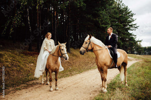 Fototapeta Naklejka Na Ścianę i Meble -  beautiful fabulous happy bride and stylish groom riding horses and lovely looking each other on the background of the autumn forest
