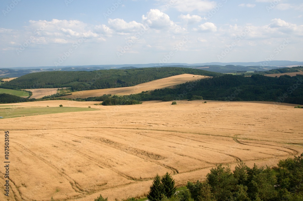 Obraz premium Landscape near village Hudlice in the Cesky Kras, Central Bohemia, Czech republic