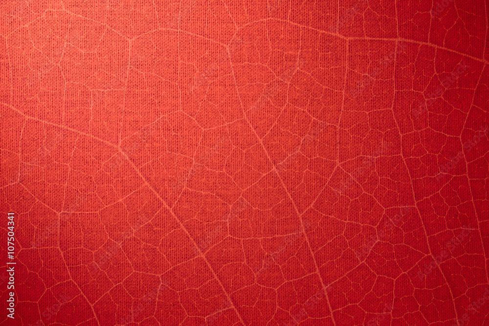 Fototapeta premium red abstract background