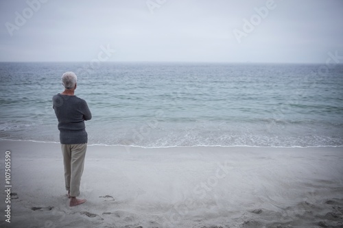 Canvas Print Rear view of senior man looking at sea