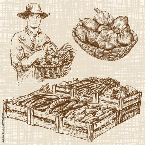 Vegetables at a farmers market, hand drawn set
