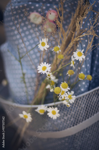 Chamomile flowers in the bike basket