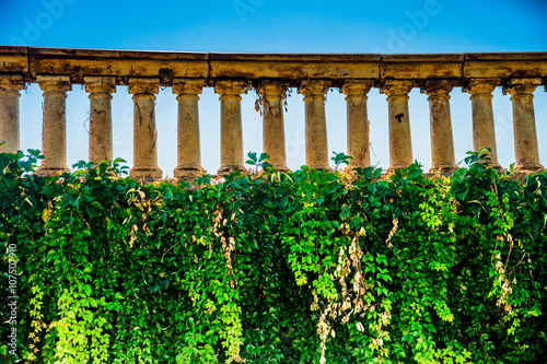 Wall with ivi and weathered historic balustrade at the top. Beautiful background image. photo