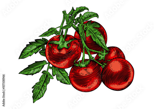 Tomato's branch with vegetables and leaves