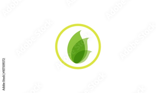 Green ecological logo with leaf icon 