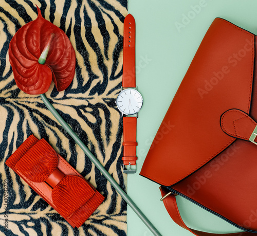 Focus on red. Stylish Lady set Accessory. Fashion details. photo