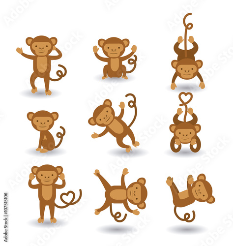 cute monkey  design