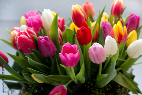 Fototapeta Naklejka Na Ścianę i Meble -  Bunter Tulpenstrauß