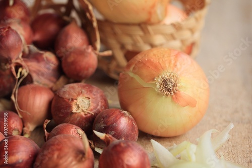 Onions and shallots