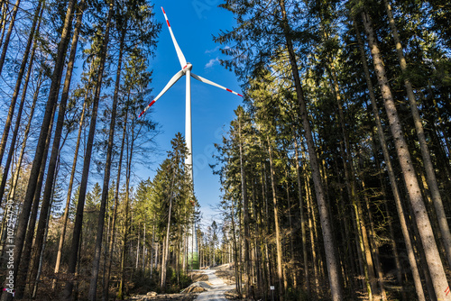Windrad am Ende des Waldweges