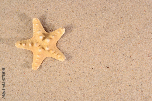 Starfish close-up in a sand
