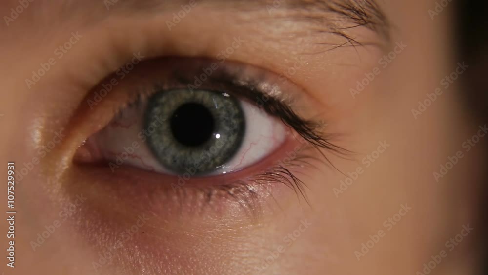 Flashing female eye close up.Pretty womans eye close up.Close up of blue woman eye. Flashing female eye close up.Pretty womans eye close up.Close up of blue woman eye.