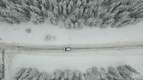 Road in a forest with car,snow