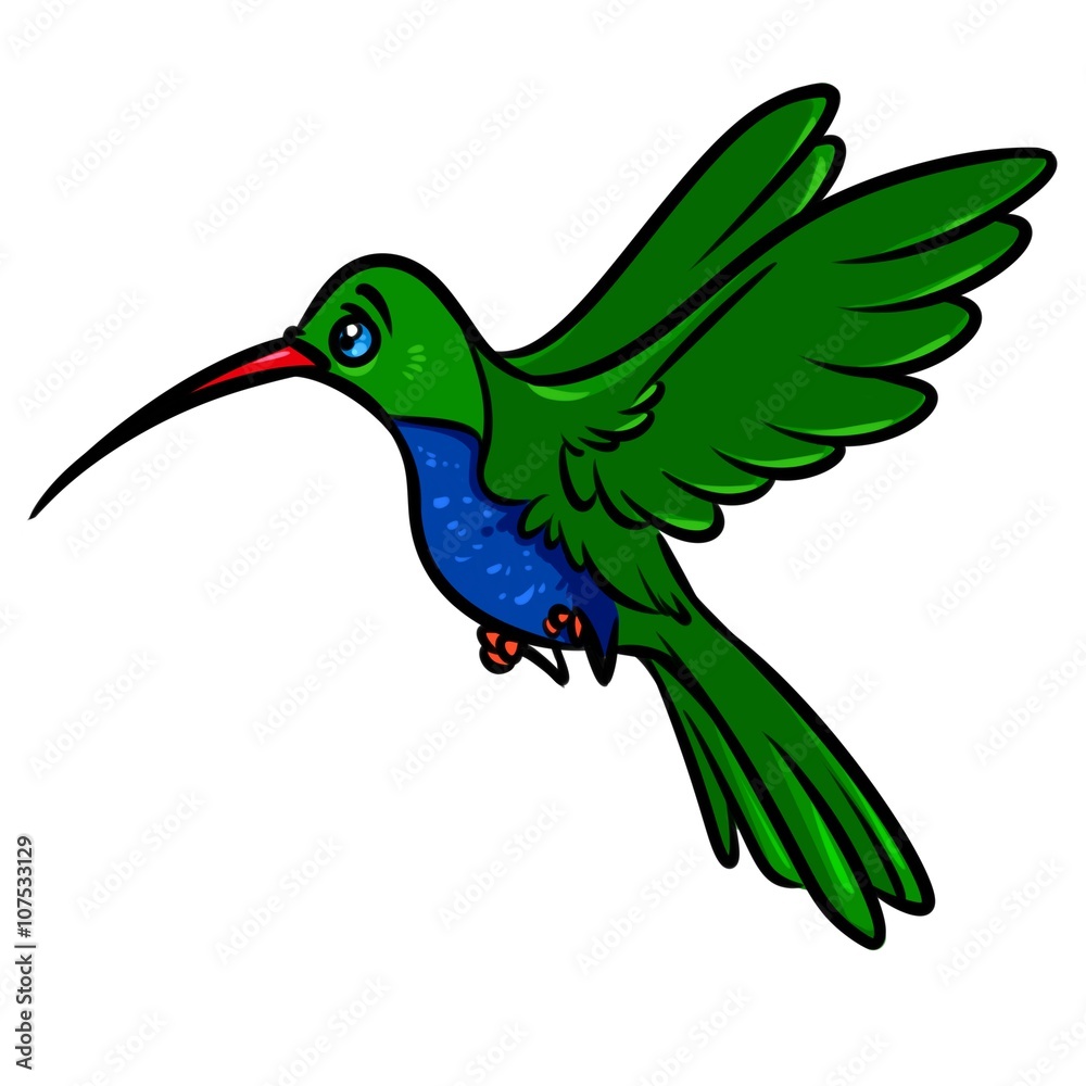 Bird hummingbird cartoon illustration isolated image animal character Stock  Illustration | Adobe Stock