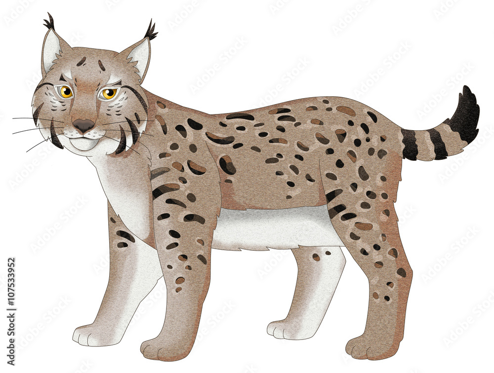 Fototapeta premium Cartoon animal - lynx - isolated - illustration for children