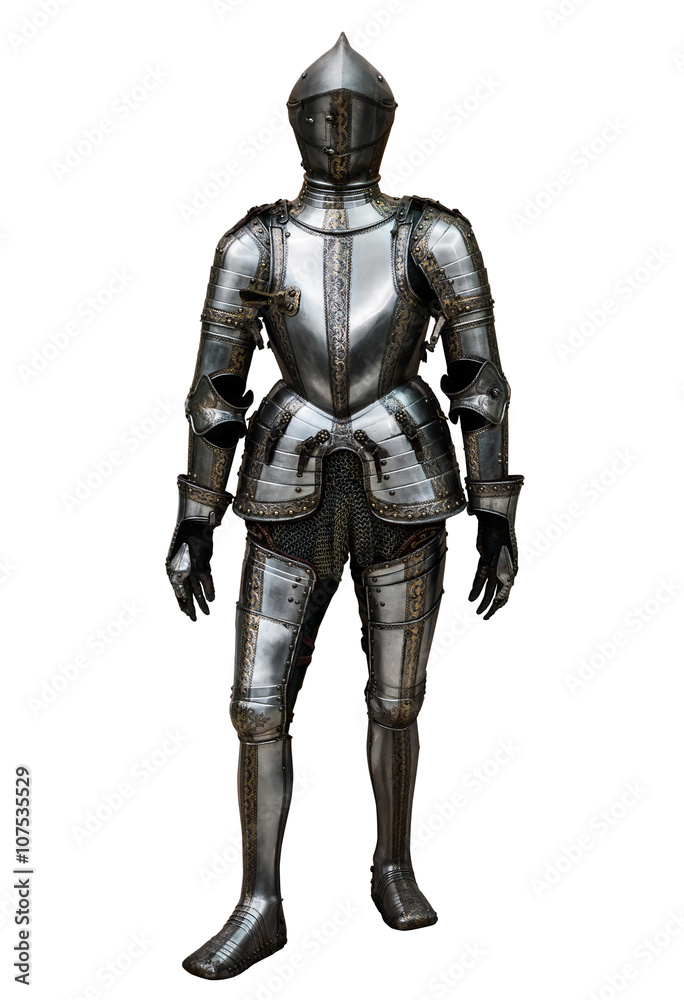 knight isolated on white background knight isolated on white background
