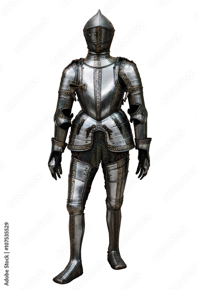 knight isolated on white background