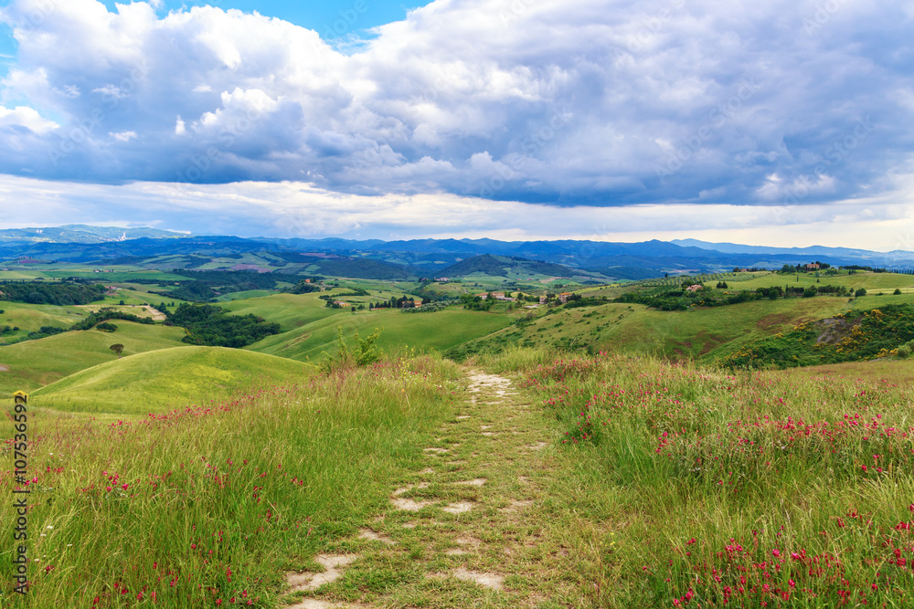 Naklejka premium Tuscan landscape, fields and meadows near Volterra