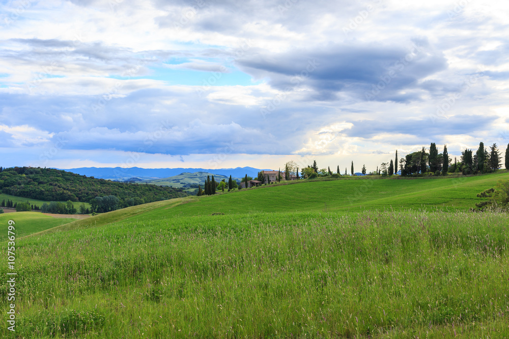 Tuscan landscape, fields and meadows near Volterra Tuscan landscape, fields and meadows near Volterra