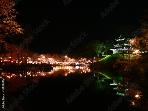 水面に浮かぶ夜桜と高田城（新潟県上越市）