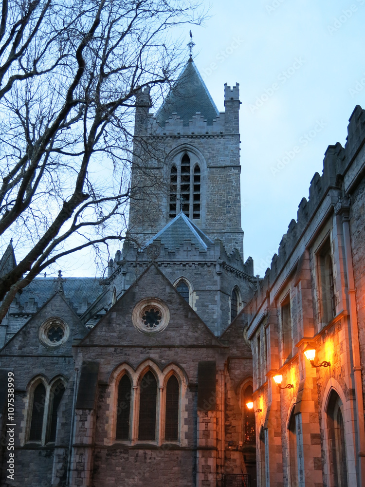 Fototapeta premium Christ Church Cathedral, Dublin