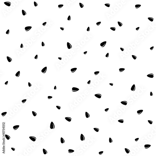 Sunflower black seeds on white seamless pattern background