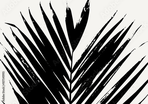 Palm Leaf Silhouette