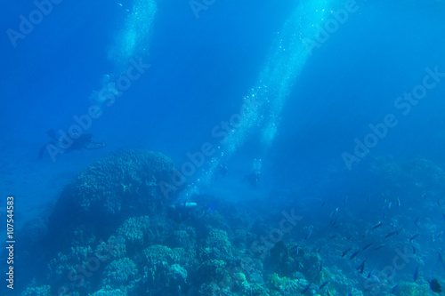 Tranquil underwater scene with copy space