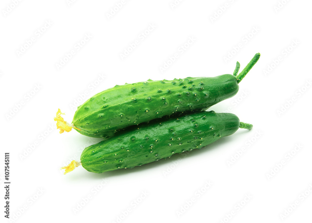 Ripe cucumbers isolated on a white background Ripe cucumbers isolated on a white background