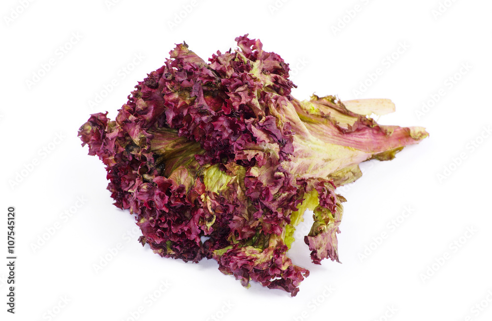 fresh salad on white background