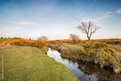 The River De Lank in Cornwall