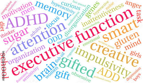 Executive Function ADHD word cloud on a white background. 