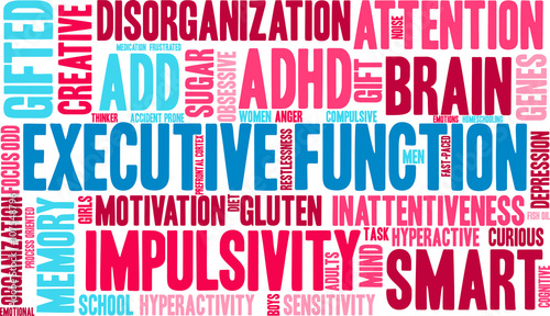 Executive Function word cloud on a white background. 