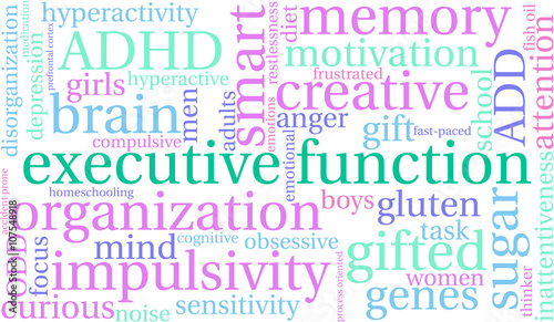 Executive Function word cloud on a white background. 