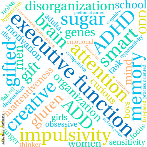 Executive Function word cloud on a white background. 