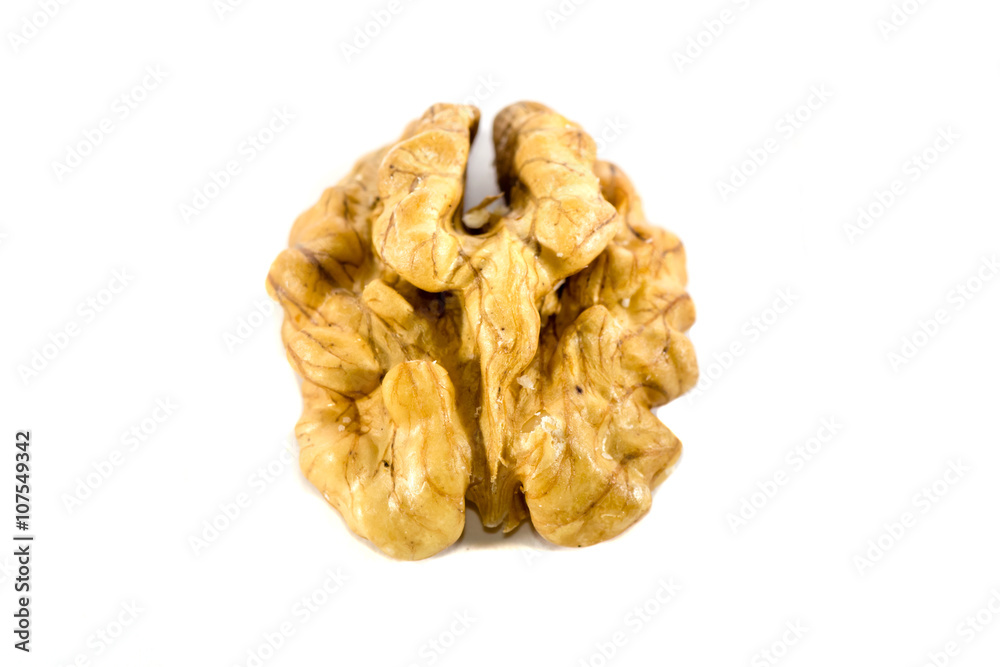 walnut on white walnut on white