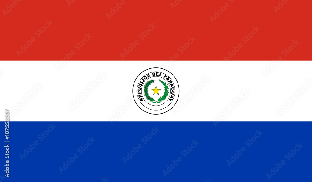 Obraz premium Paraguay Flag﻿