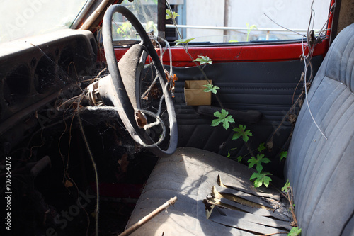 plant on rusty car