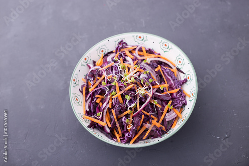 Red cabbage, carrot, onion and radishes sprouts salad