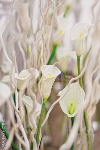 Белые цветы с белыми ветками