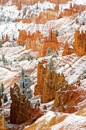 Vertical of Bryce Canyon National Park in winter